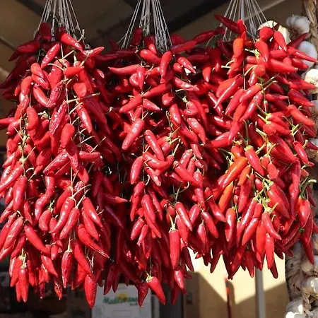 Casa Aurorarosa شقة تروبيا